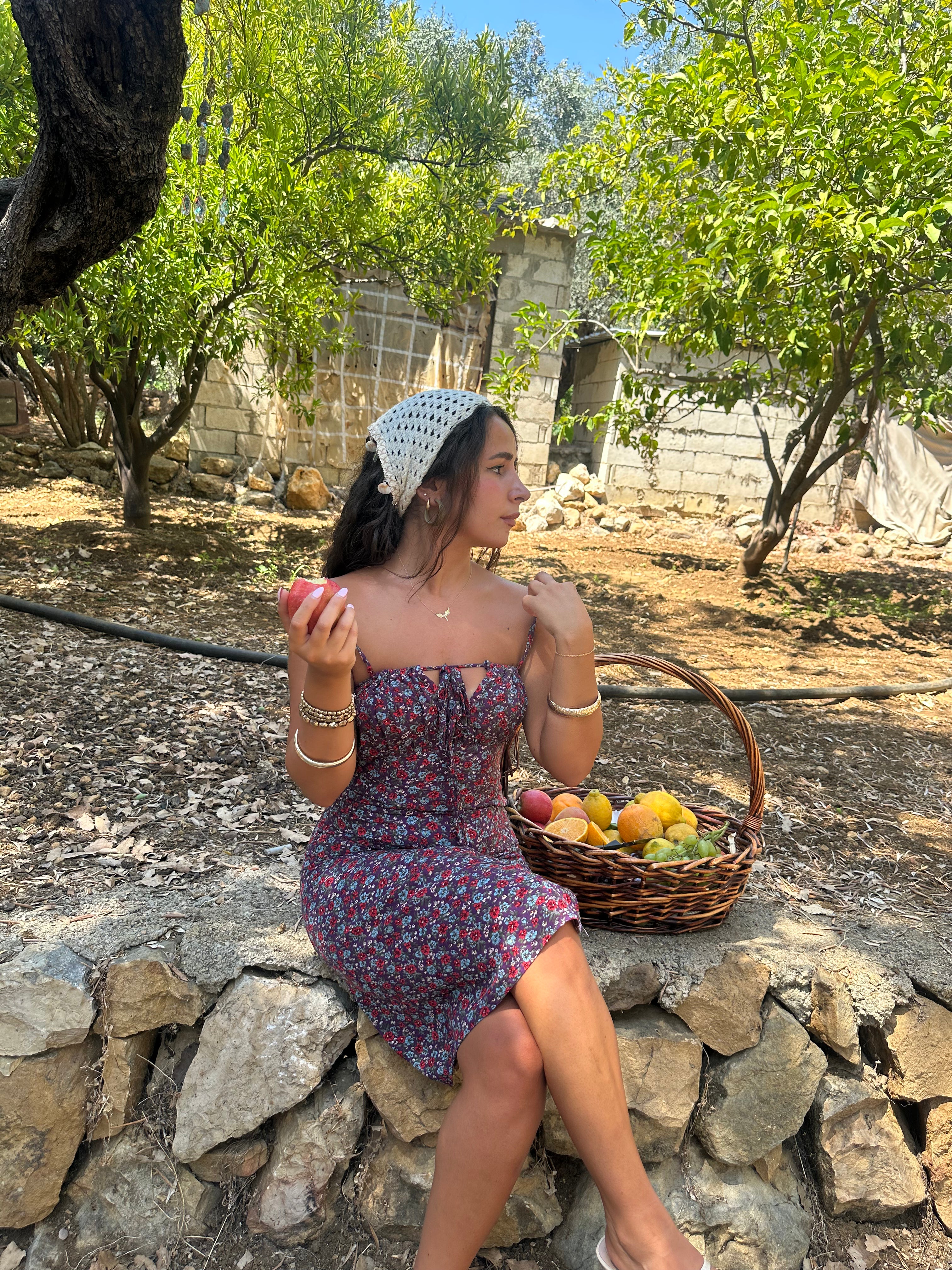 Elara Dress