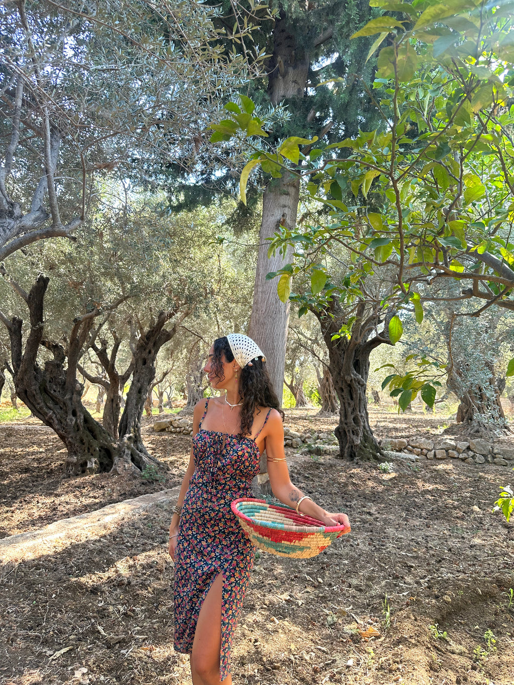 Elara Dress