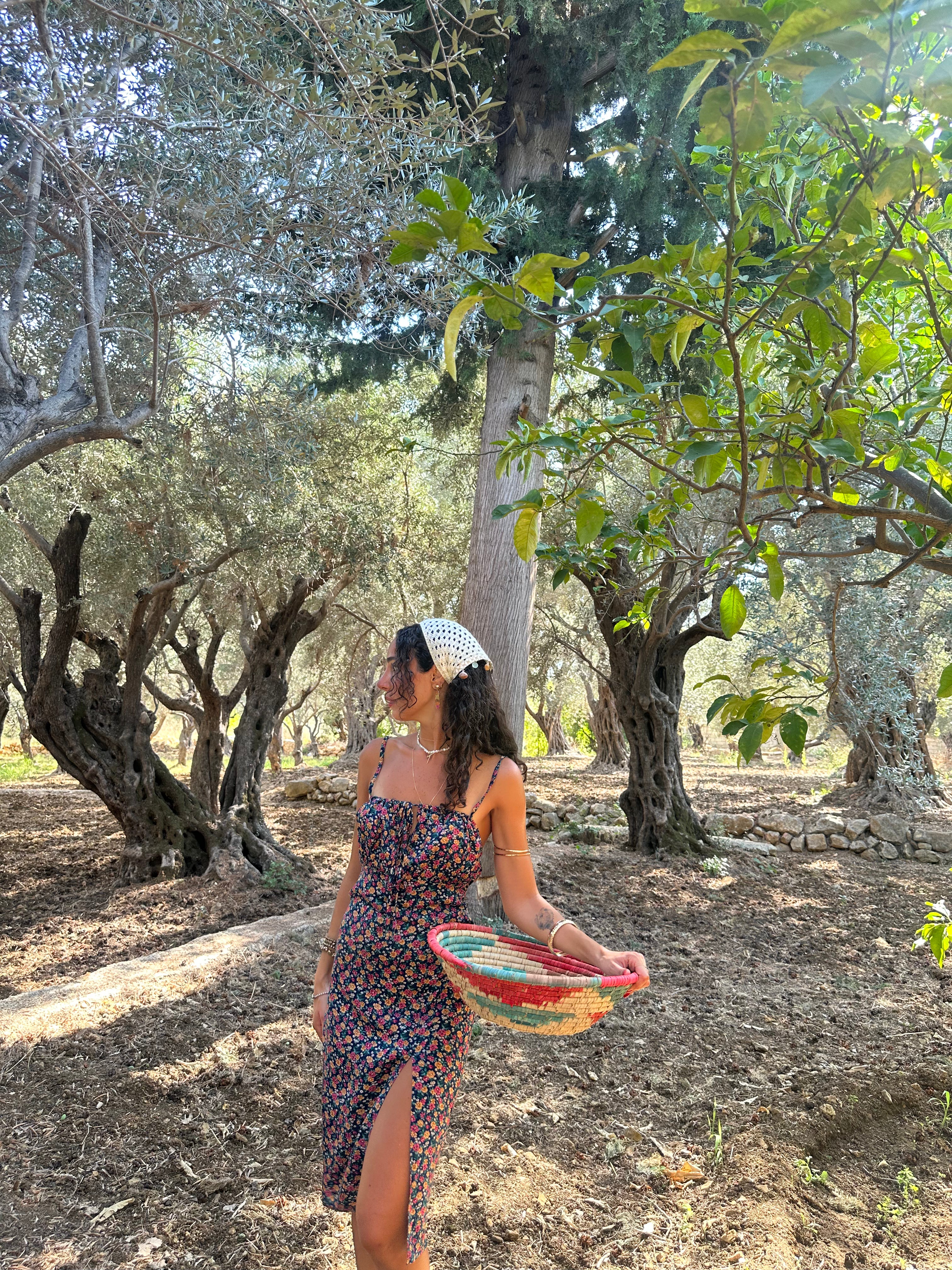 Elara Dress